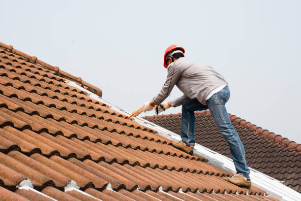 Best Sheet Metal Roofing  in Oakville, MO